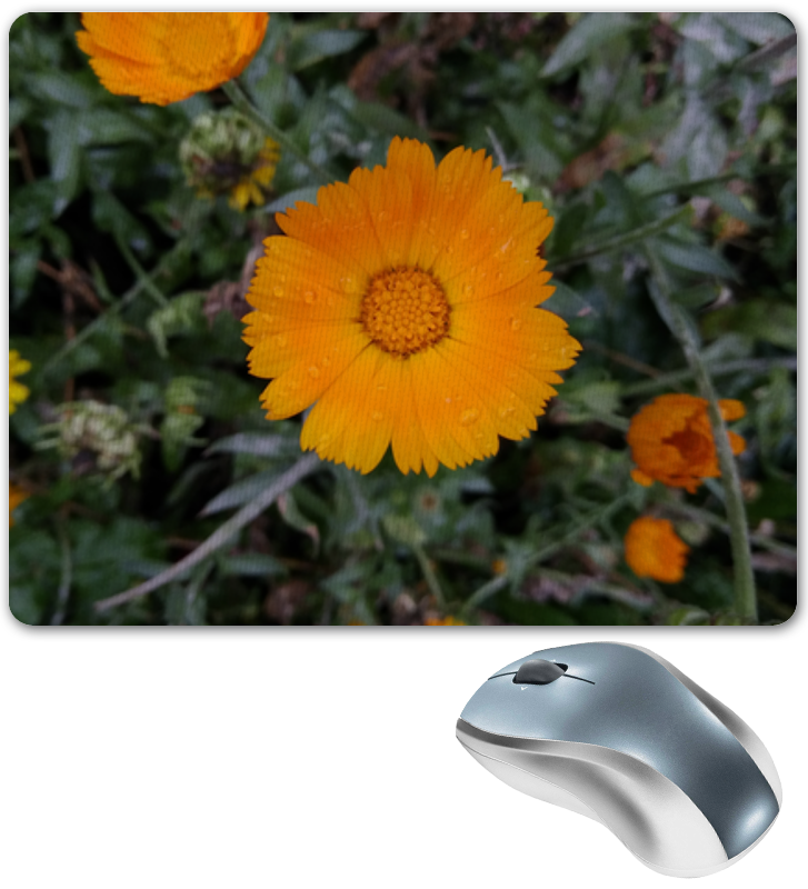 Printio Коврик для мышки Летние цветы