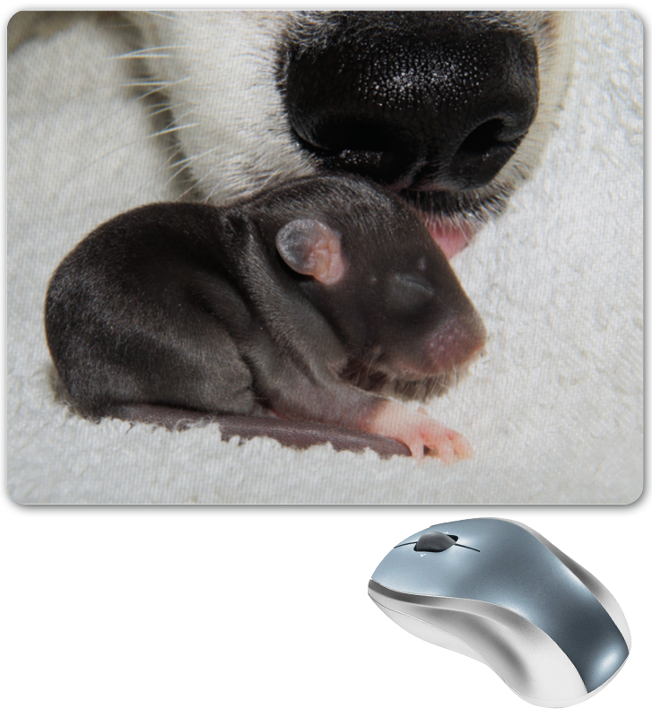 Printio Коврик для мышки Крыса символ 2020 года printio шторы в ванную крыса символ 2020 года