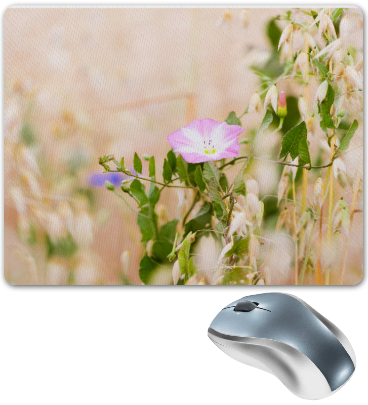 Printio Коврик для мышки Нежный полевой цветок