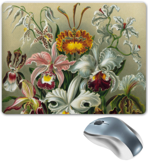 Заказать коврик для мышки в Москве. Коврик для мышки Орхидеи (Orchideae, Ernst Haeckel) от Apfelbaum - готовые дизайны и нанесение принтов.