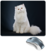 Заказать коврик для мышки в Москве. Коврик для мышки Белый кот от THE_NISE  - готовые дизайны и нанесение принтов.