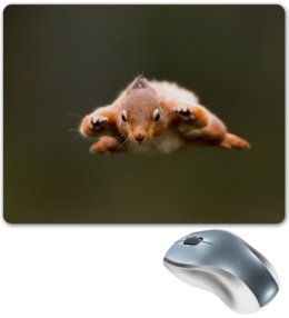 Коврик для мышки