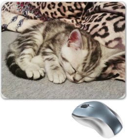 Заказать коврик для мышки в Москве. Коврик для мышки Спящий котик от lerok09 - готовые дизайны и нанесение принтов.