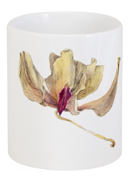 Заказать кружку в Москве. Кружка орхидея белая от okonit - готовые дизайны и нанесение принтов.