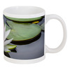 Заказать кружку в Москве. Кружка Кувшинка от Екатерина Смирнова - готовые дизайны и нанесение принтов.