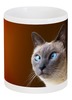 Заказать кружку в Москве. Кружка Голубоглазый кот от rockbasak88 - готовые дизайны и нанесение принтов.