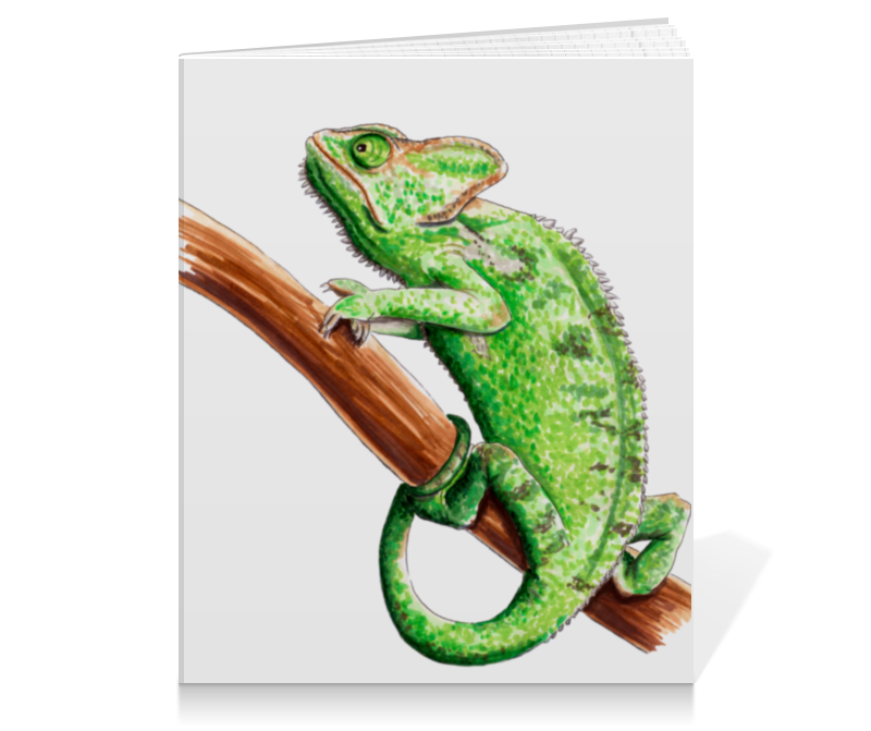 Printio Тетрадь на клею Зеленый хамелеон на ветке printio блокнот зеленый хамелеон на ветке