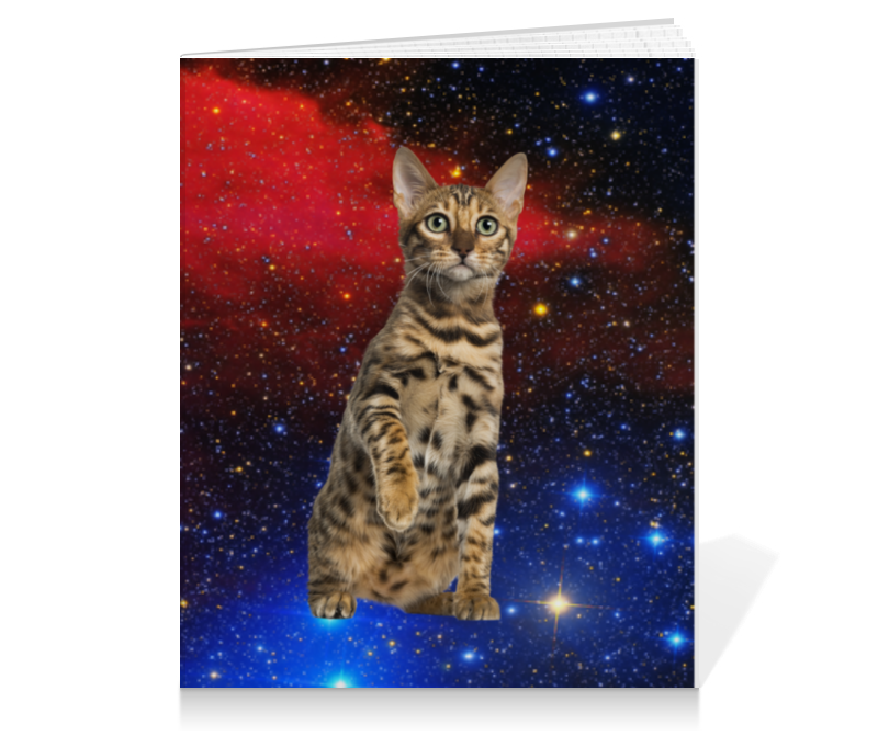 Printio Тетрадь на клею кот в космосе