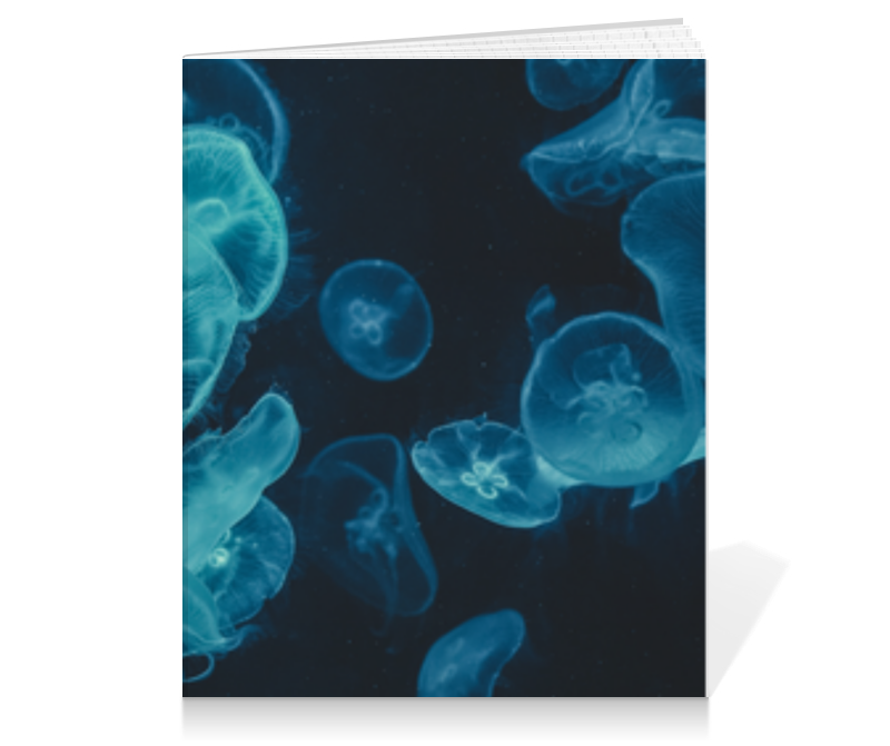 Printio Тетрадь на клею Морские медузы