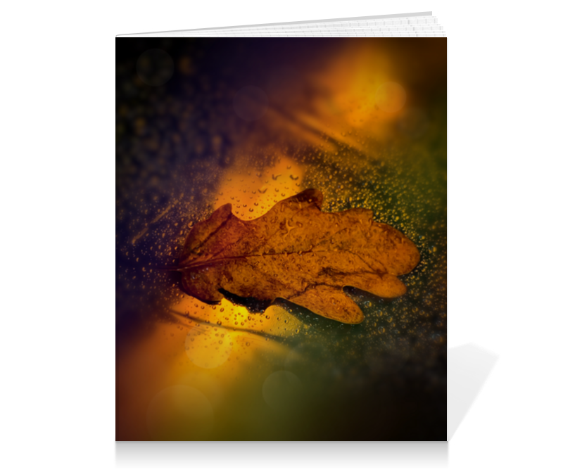 Printio Тетрадь на клею Осень цена и фото