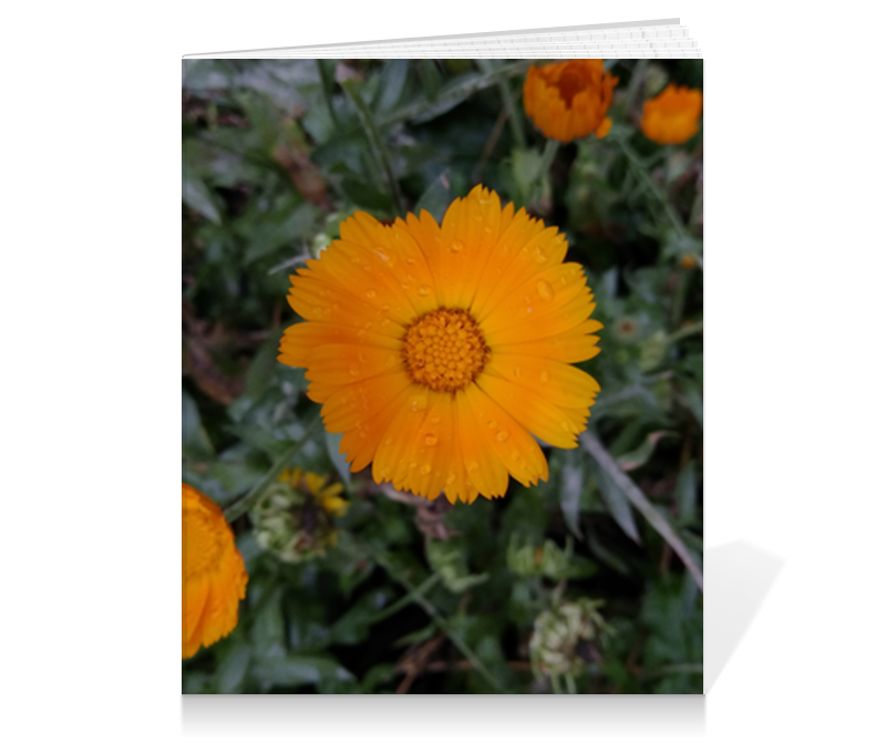 Printio Тетрадь на клею Летние цветы цена и фото