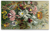 Заказать тетрадь в Москве. Тетрадь на клею Орхидеи (Orchideae, Ernst Haeckel) от Apfelbaum - готовые дизайны и нанесение принтов.