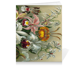 Заказать тетрадь в Москве. Тетрадь на клею Орхидеи (Orchideae, Ernst Haeckel) от Apfelbaum - готовые дизайны и нанесение принтов.