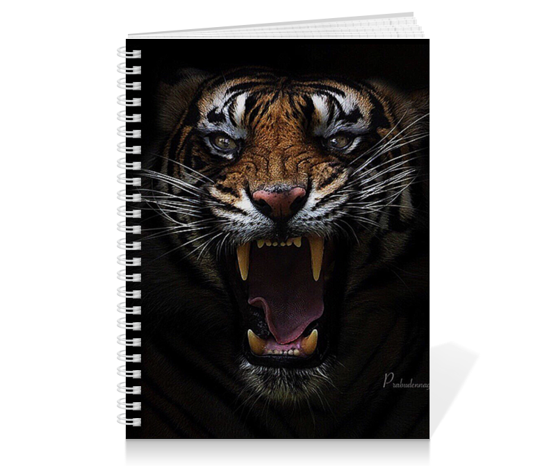 Printio Тетрадь на пружине Тигры. живая природа printio 3d кружка тигры живая природа