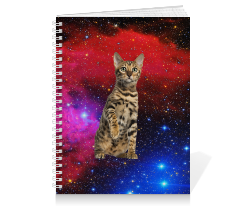 Printio Тетрадь на пружине кот в космосе printio тетрадь на скрепке кот в космосе