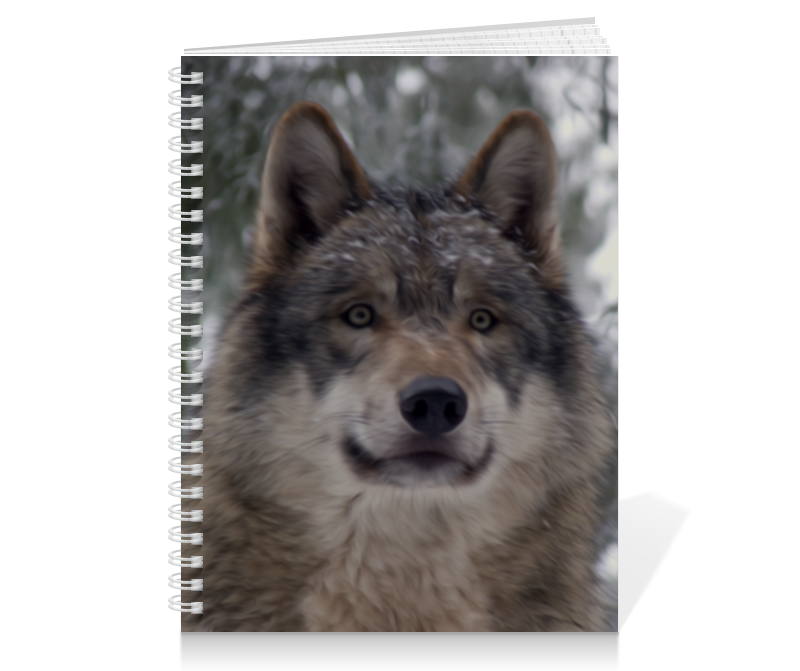 Printio Тетрадь на пружине Волк в лесу printio тетрадь на пружине радужный волк