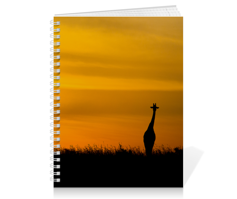 Printio Тетрадь на пружине Жираф на закате printio тетрадь на пружине жираф на закате