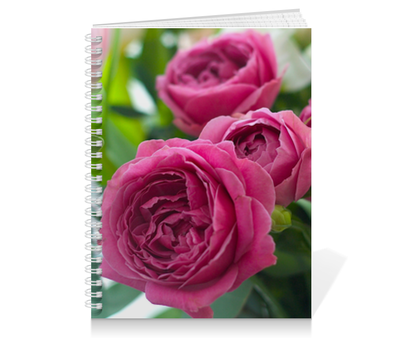 Printio Тетрадь на пружине Розовые розы printio тетрадь на скрепке розовые розы
