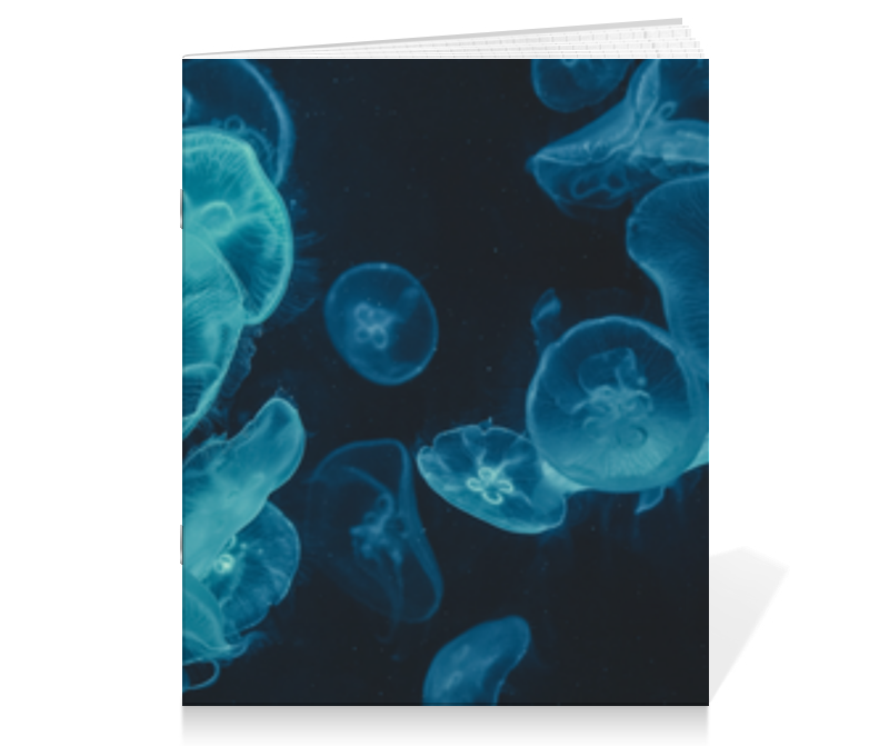 Printio Тетрадь на скрепке Морские медузы printio тетрадь на клею морские медузы