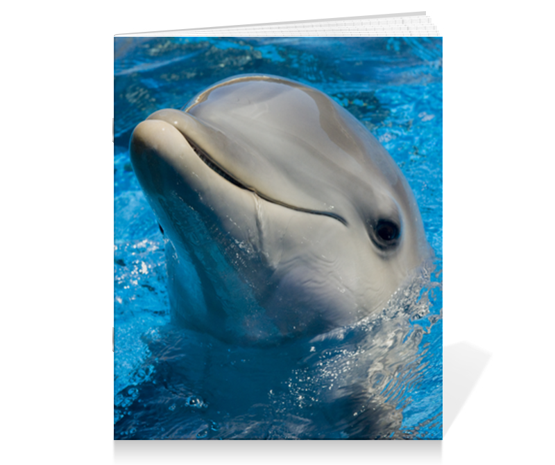 Printio Тетрадь на скрепке Дельфин 1 printio тетрадь на клею дельфин 1