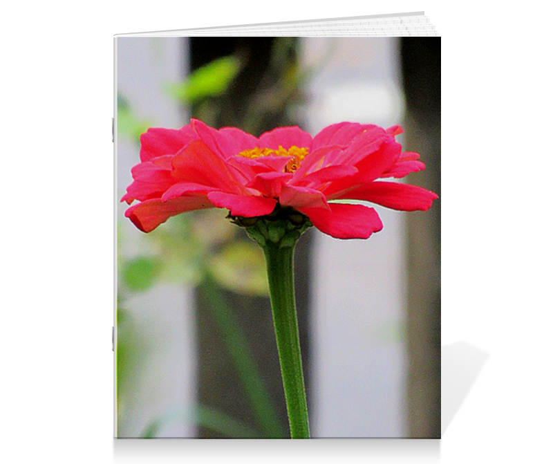 printio тетрадь на скрепке цветок Printio Тетрадь на скрепке Красный цветок