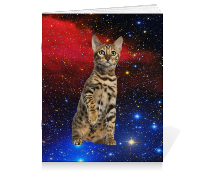 Printio Тетрадь на скрепке кот в космосе