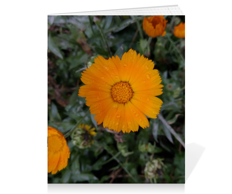 Printio Тетрадь на скрепке Летние цветы цена и фото