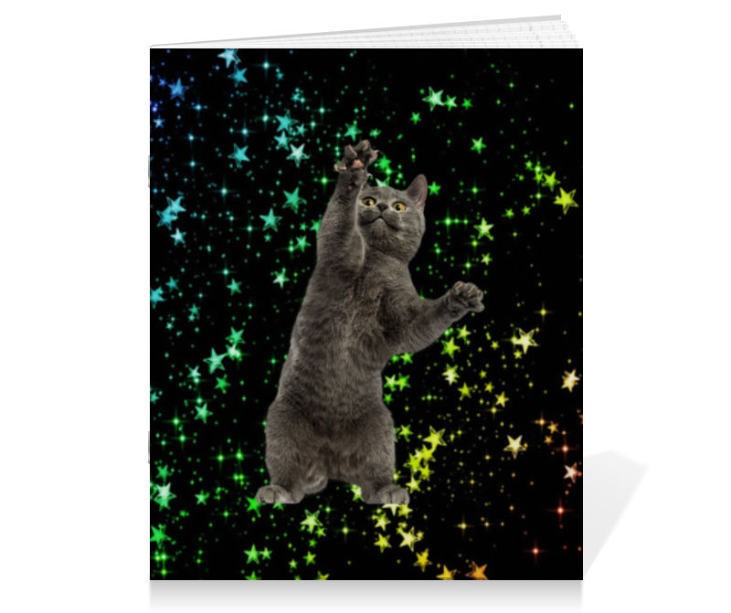 Printio Тетрадь на скрепке кот и звезды сумка кот и звезды голубой