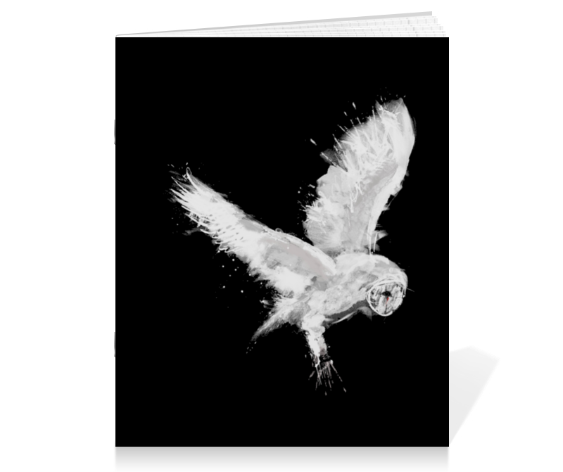 Printio Тетрадь на скрепке Белая сова printio тетрадь на скрепке радужная сова