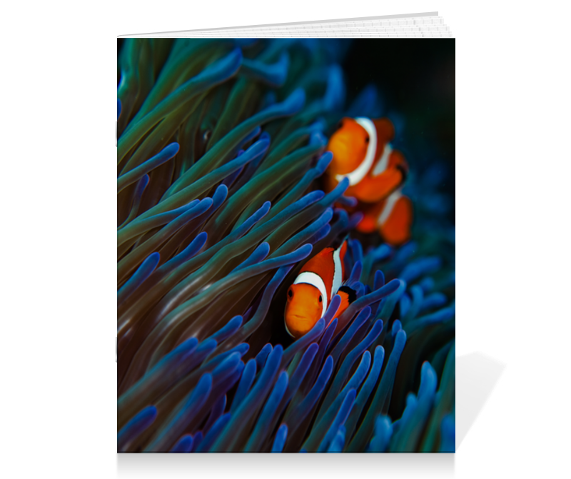Printio Тетрадь на скрепке Семейка клоунфиш декор для аквариумов gloxy флуоресцентный рыба клоун на леске 7х2 5х4см