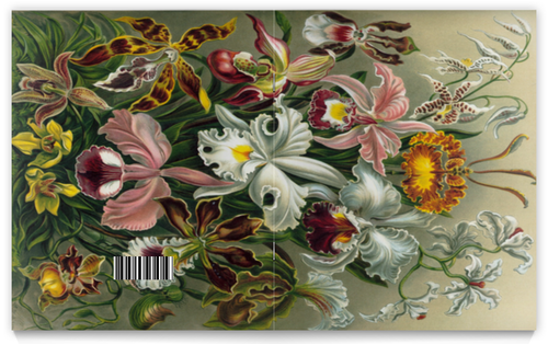 Заказать тетрадь в Москве. Тетрадь на скрепке Орхидеи (Orchideae, Ernst Haeckel) от Apfelbaum - готовые дизайны и нанесение принтов.