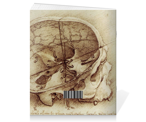 Заказать тетрадь в Москве. Тетрадь на скрепке Анатомический череп от scoopysmith - готовые дизайны и нанесение принтов.