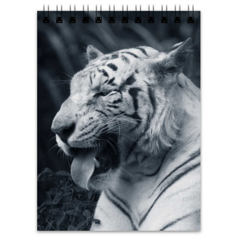 Printio Блокнот Белый тигр