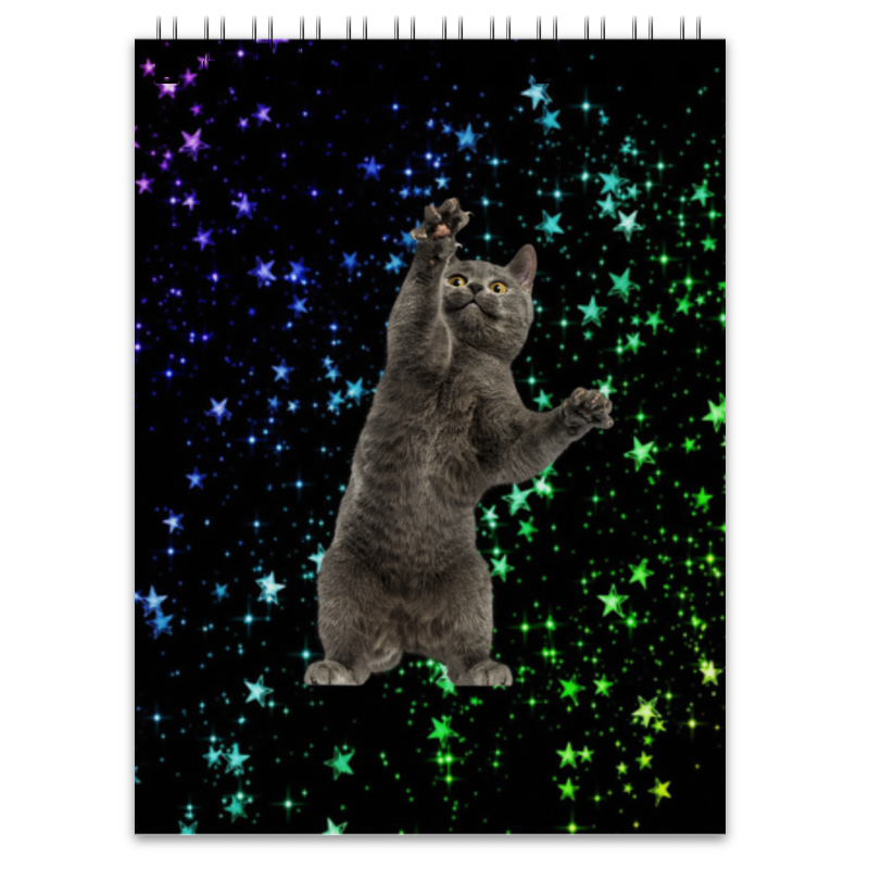 Printio Блокнот кот и звезды мужская футболка кот и звезды m белый