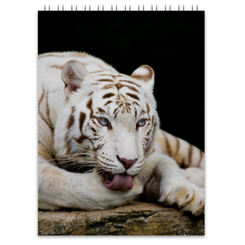 Printio Блокнот Белый тигр
