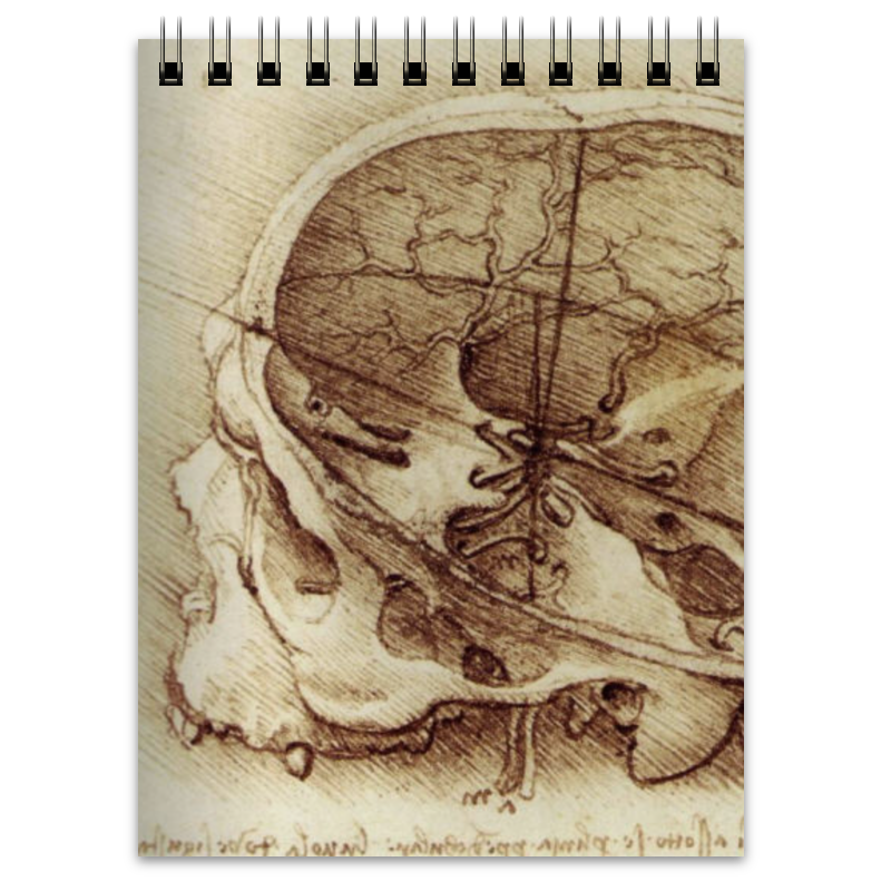 Printio Блокнот Анатомический череп printio тетрадь на скрепке анатомический череп