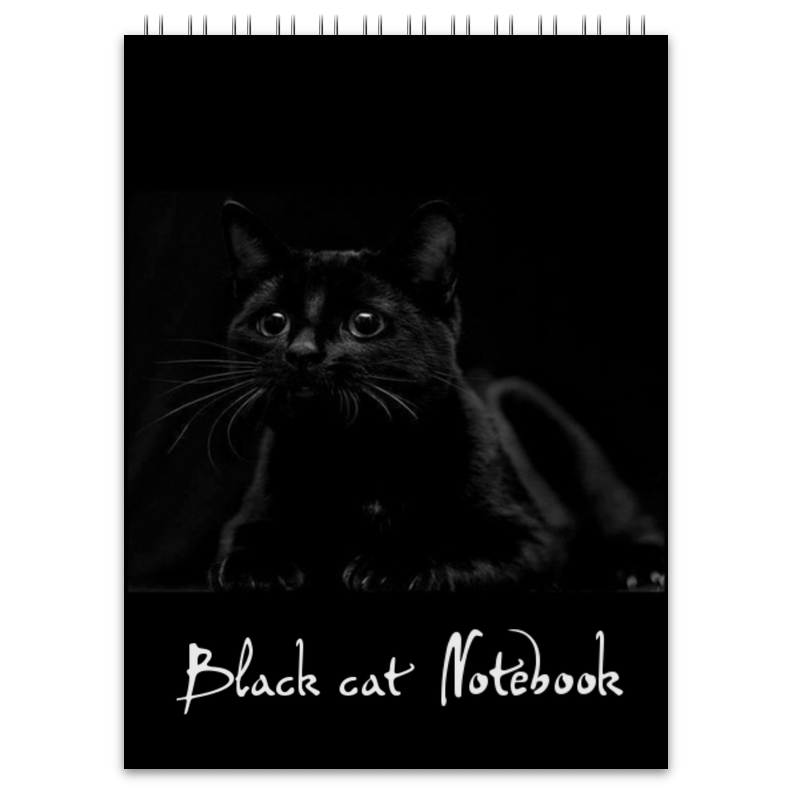 Printio Блокнот Чёрный кот.