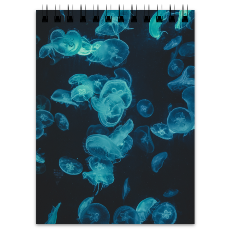 Printio Блокнот Морские медузы printio обложка для паспорта морские медузы