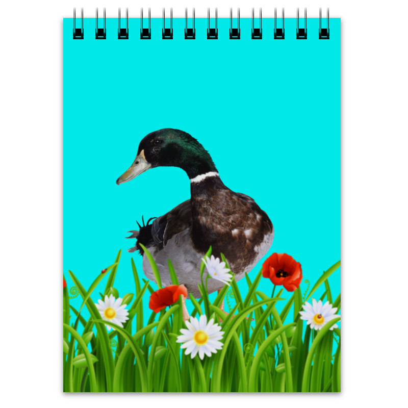 блокнот с уточкой