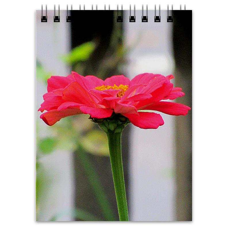 Printio Блокнот Красный цветок