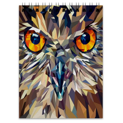 Заказать блокнот в Москве. Блокнот Fantastical owl от alexru - готовые дизайны и нанесение принтов.