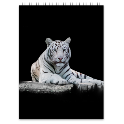 Заказать блокнот в Москве. Блокнот Белый тигр от THE_NISE  - готовые дизайны и нанесение принтов.
