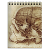 Заказать блокнот в Москве. Блокнот Анатомический череп от scoopysmith - готовые дизайны и нанесение принтов.