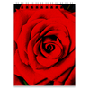 Заказать блокнот в Москве. Блокнот Красная роза  от Aleksa - готовые дизайны и нанесение принтов.