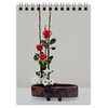 Заказать блокнот в Москве. Блокнот Икебана / Ikebana от Ikebana - готовые дизайны и нанесение принтов.