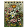 Заказать блокнот в Москве. Блокнот Орхидеи (Orchideae, Ernst Haeckel) от Apfelbaum - готовые дизайны и нанесение принтов.