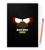Заказать блокнот в Москве. Блокнот на пружине А4 Space (Angry Birds) от Аня Лукьянова - готовые дизайны и нанесение принтов.