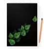 Заказать блокнот в Москве. Блокнот на пружине А4 Evergreen Leaves от CoolColor  - готовые дизайны и нанесение принтов.