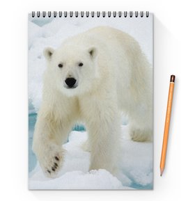 Заказать блокнот в Москве. Блокнот на пружине А4 Белый медведь от THE_NISE  - готовые дизайны и нанесение принтов.