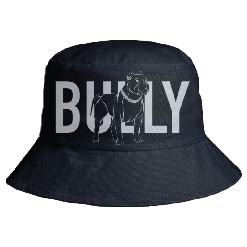 Printio Панама Bully guess панама